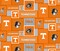 Sykel Enterprises-University of Tennessee Fleece Fabric-Tennessee Volunteers College Patch Fleece Blanket Fabric-Sold by the yard